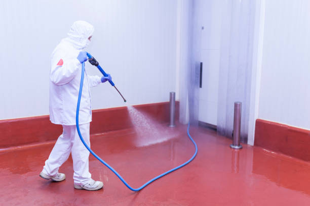 Best Rust Removal  in Oak Grove, LA